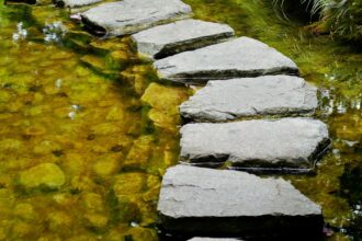 Stepping stones crossing shallow, greenish water in a garden